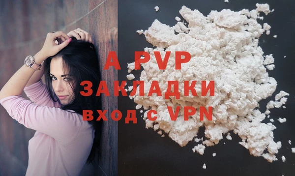 Альфа ПВП Белокуриха