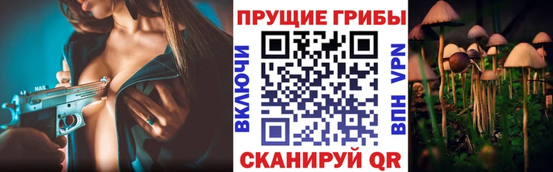 Галлюциногенные грибы ЛСД  Железногорск-Илимский 